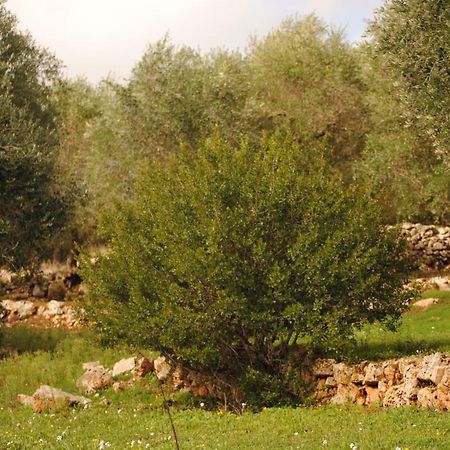 Il Giardino Di Viola Bed & Breakfast Ceglie Messapica Dış mekan fotoğraf