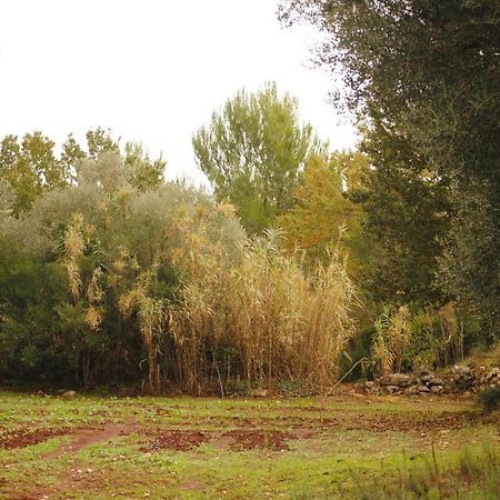 Il Giardino Di Viola Bed & Breakfast Ceglie Messapica Dış mekan fotoğraf