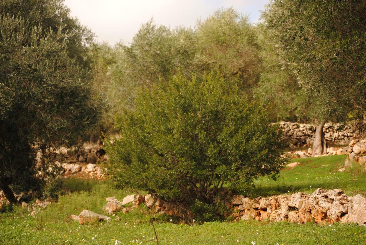 Il Giardino Di Viola Bed & Breakfast Ceglie Messapica Dış mekan fotoğraf