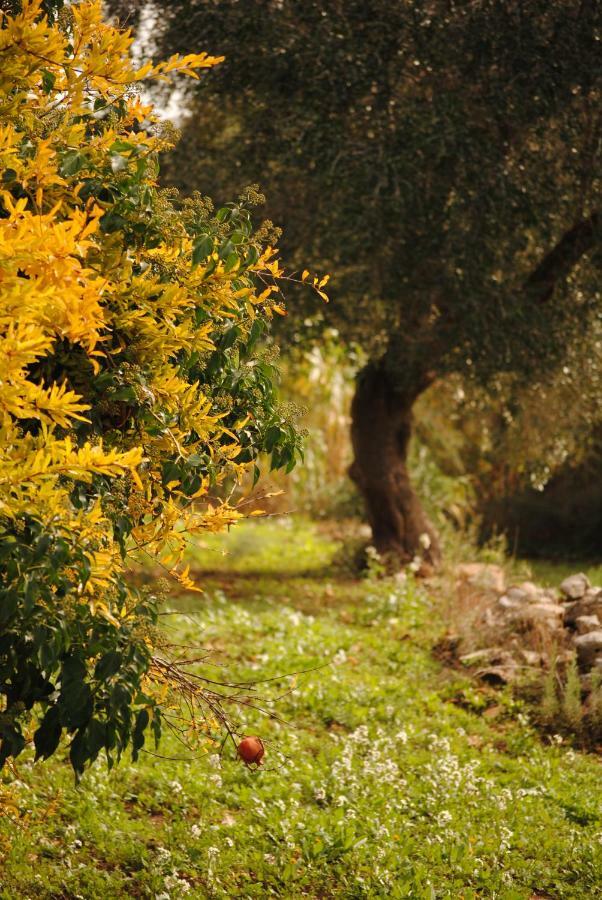 Il Giardino Di Viola Bed & Breakfast Ceglie Messapica Dış mekan fotoğraf