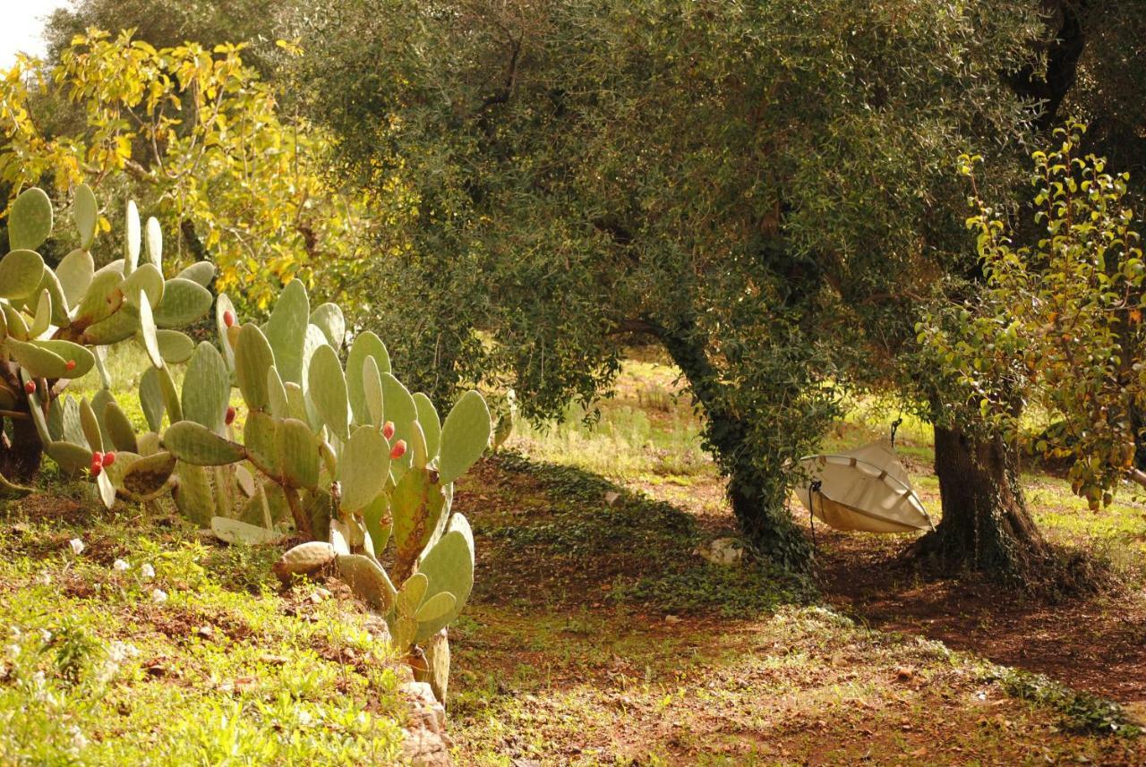 Il Giardino Di Viola Bed & Breakfast Ceglie Messapica Dış mekan fotoğraf