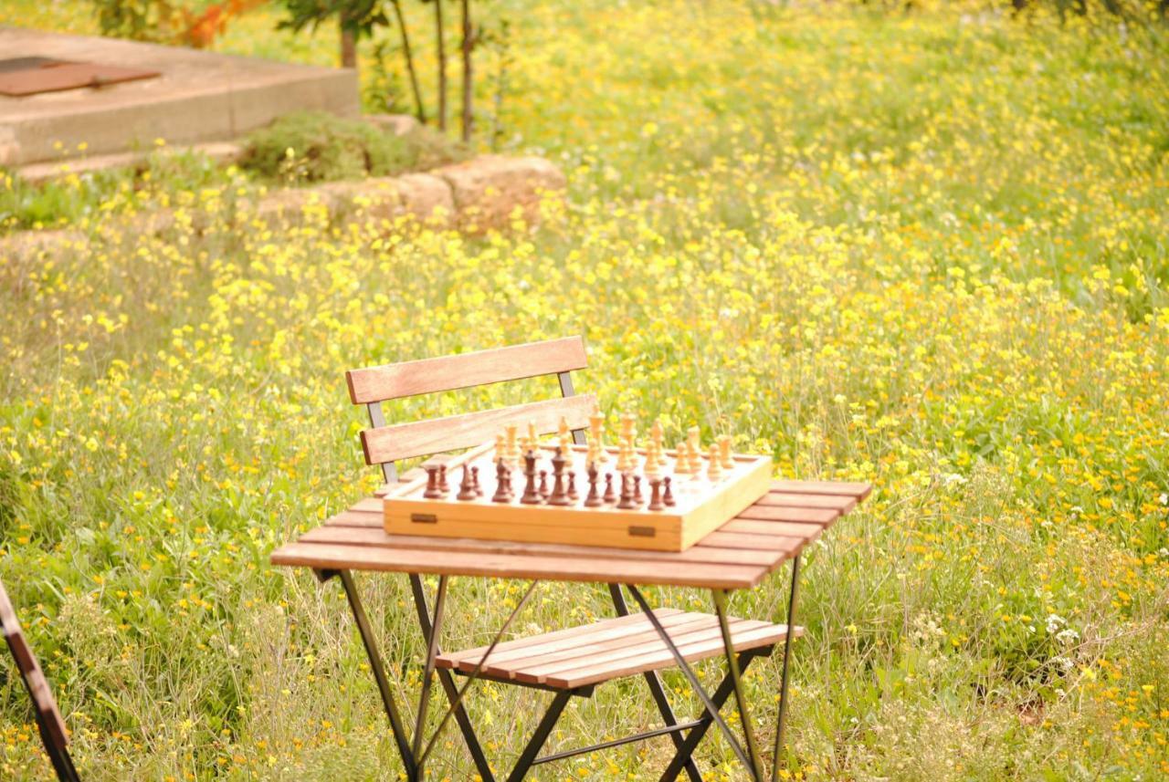 Il Giardino Di Viola Bed & Breakfast Ceglie Messapica Dış mekan fotoğraf