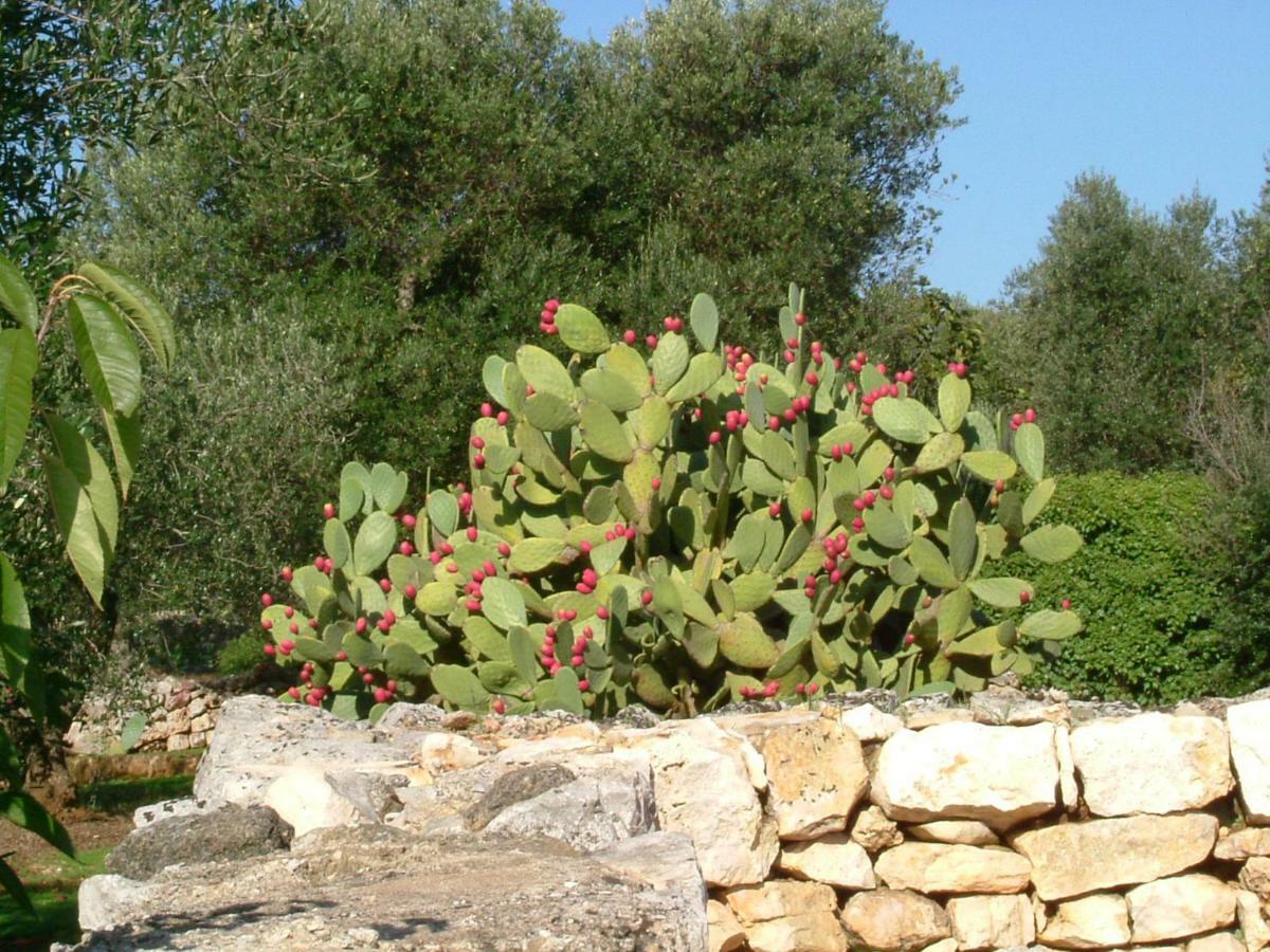 Il Giardino Di Viola Bed & Breakfast Ceglie Messapica Dış mekan fotoğraf