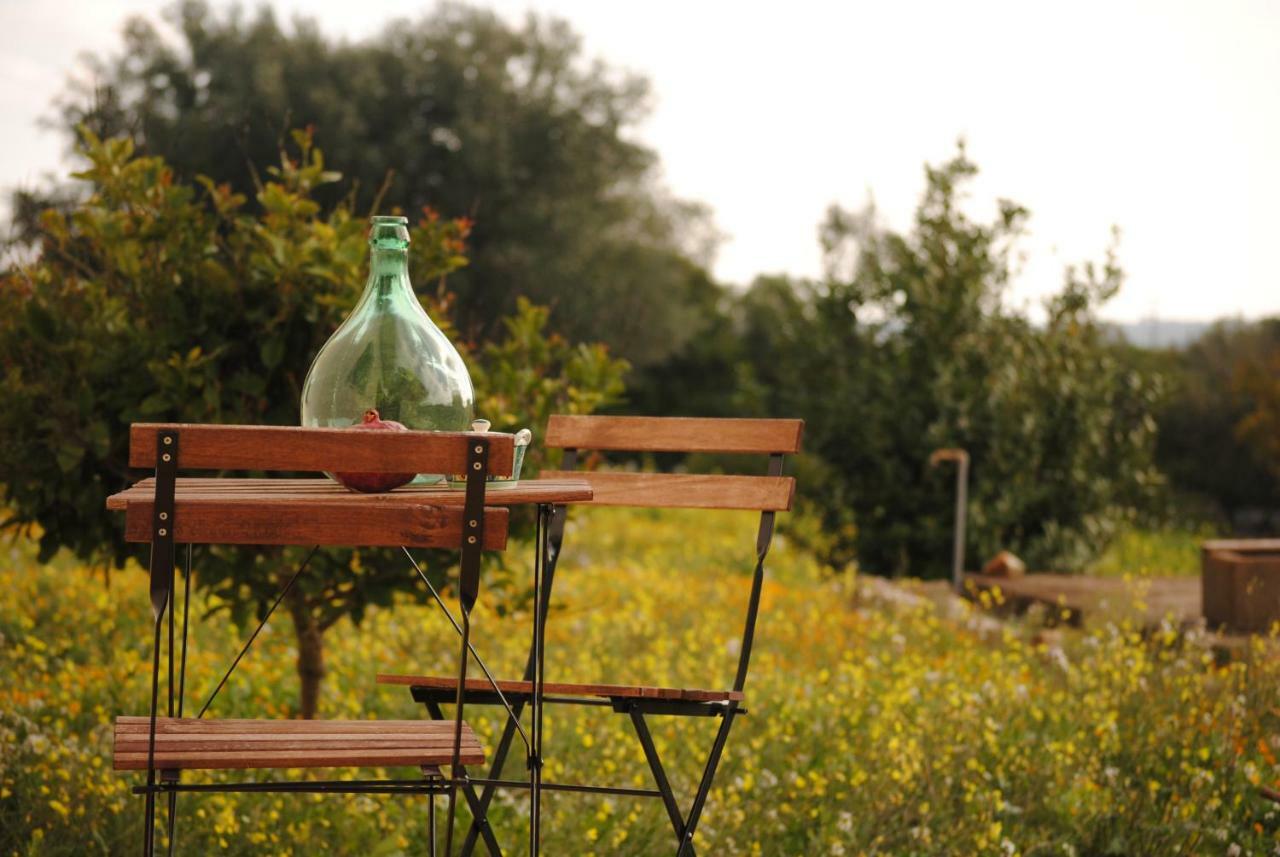 Il Giardino Di Viola Bed & Breakfast Ceglie Messapica Dış mekan fotoğraf