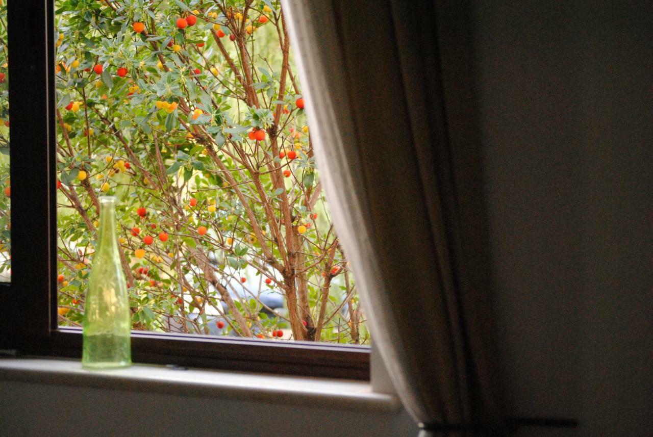 Il Giardino Di Viola Bed & Breakfast Ceglie Messapica Dış mekan fotoğraf