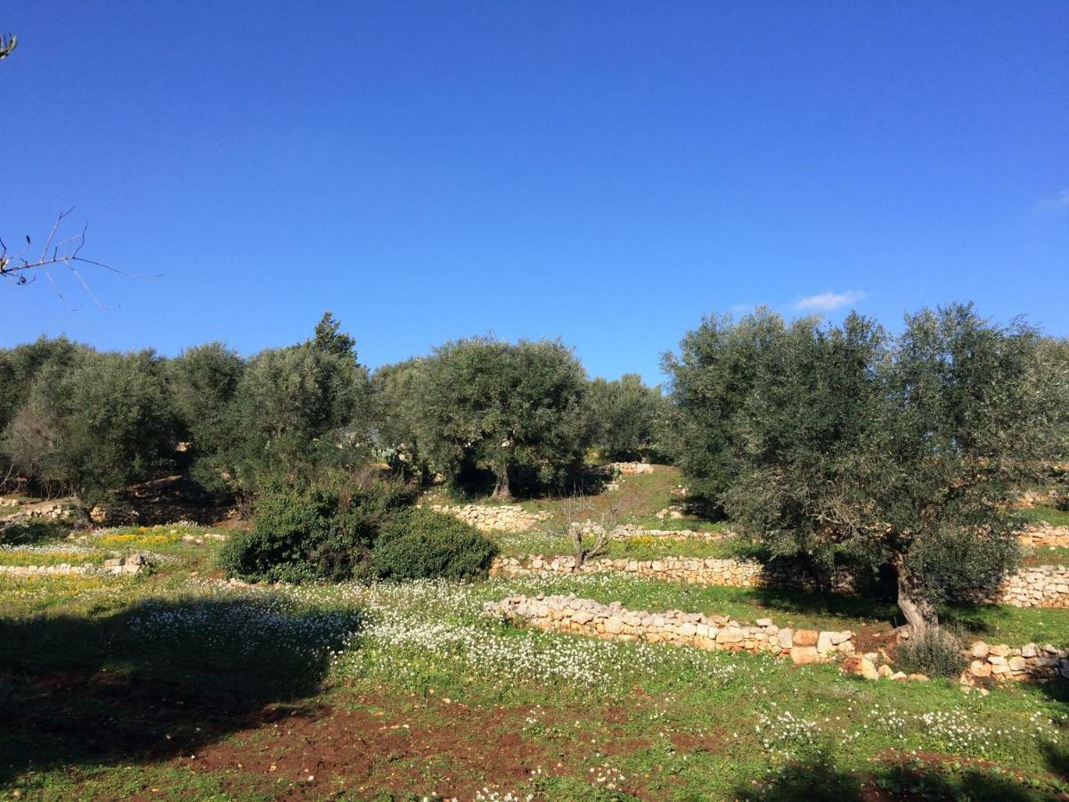 Il Giardino Di Viola Bed & Breakfast Ceglie Messapica Dış mekan fotoğraf