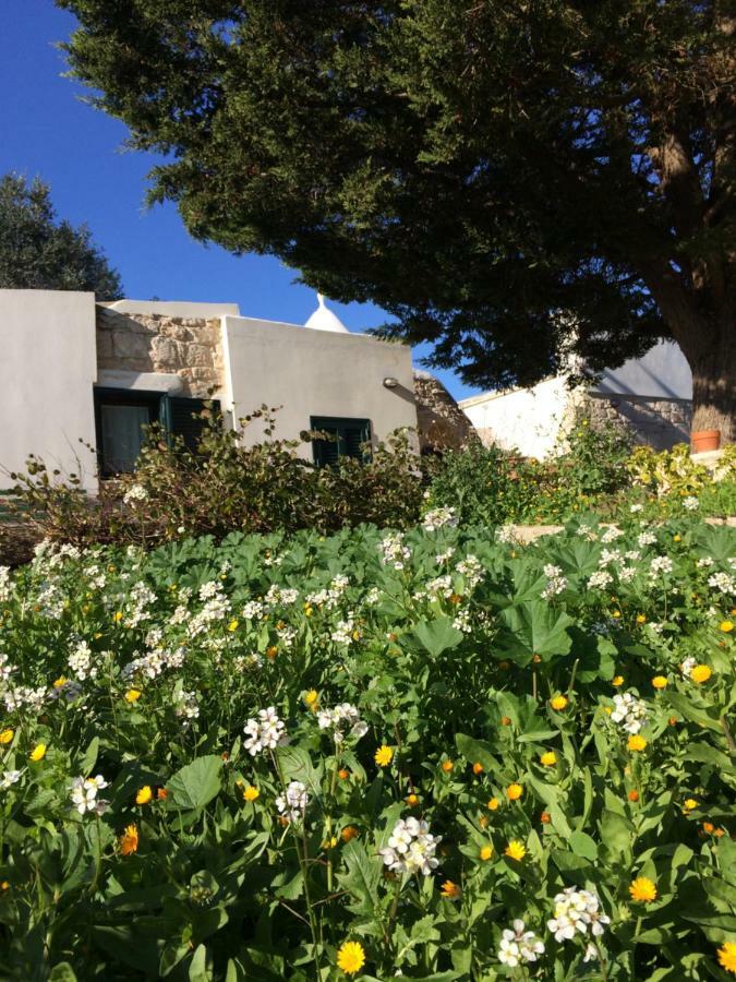 Il Giardino Di Viola Bed & Breakfast Ceglie Messapica Dış mekan fotoğraf