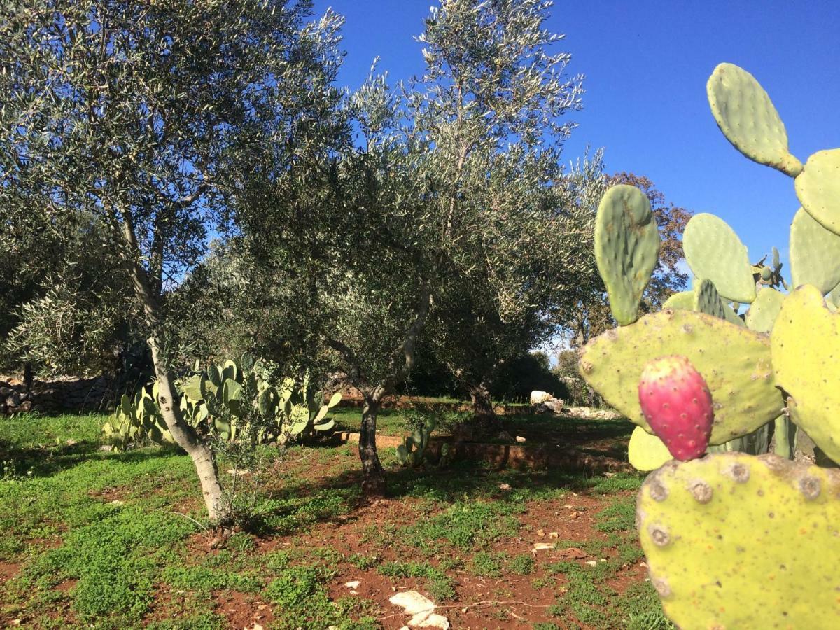 Il Giardino Di Viola Bed & Breakfast Ceglie Messapica Dış mekan fotoğraf