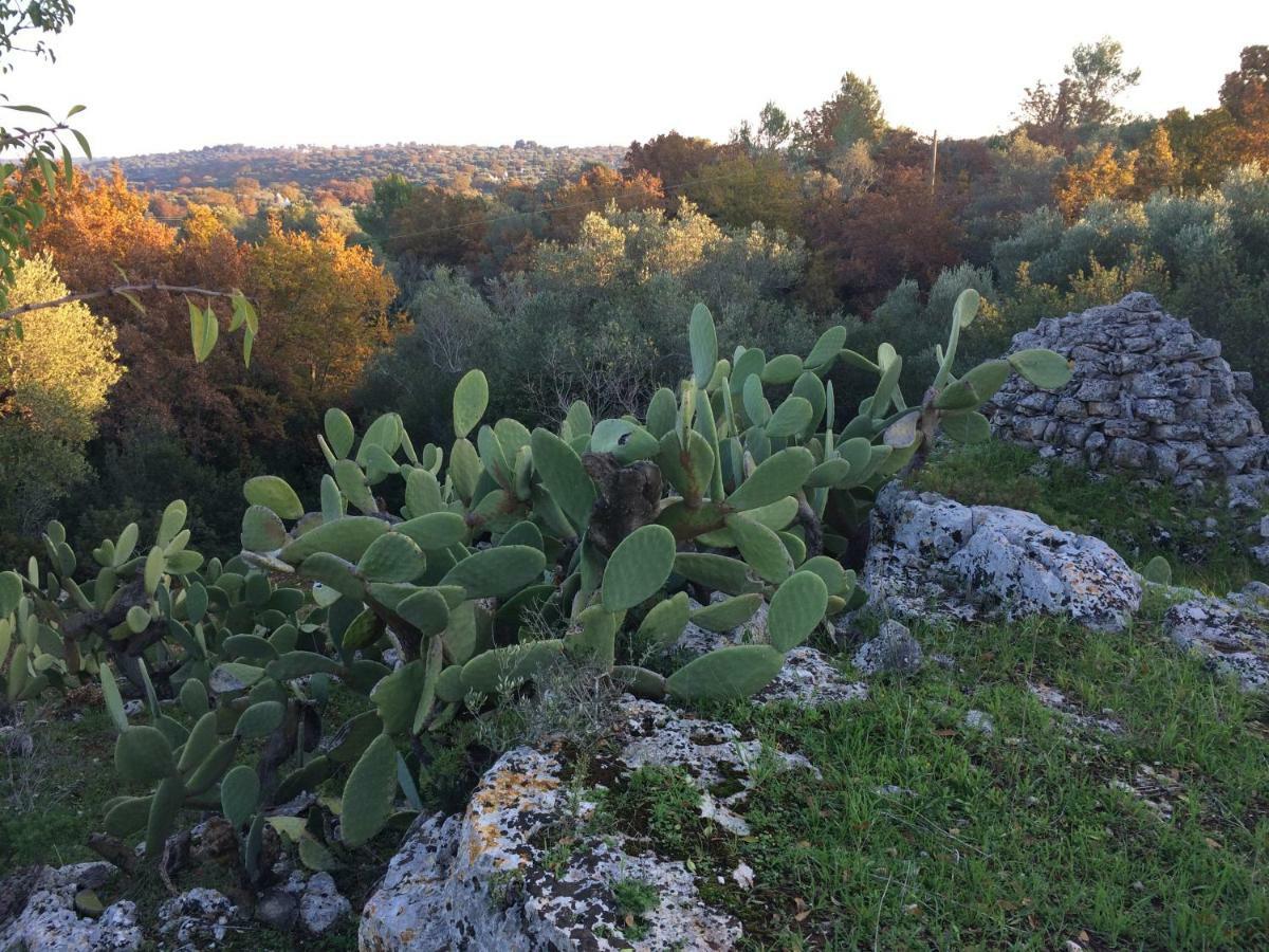 Il Giardino Di Viola Bed & Breakfast Ceglie Messapica Dış mekan fotoğraf