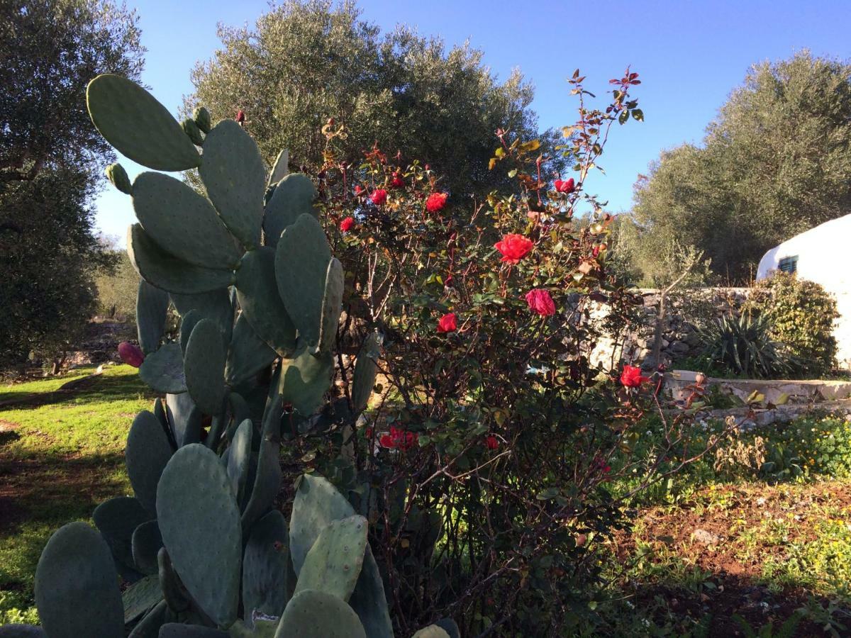 Il Giardino Di Viola Bed & Breakfast Ceglie Messapica Dış mekan fotoğraf